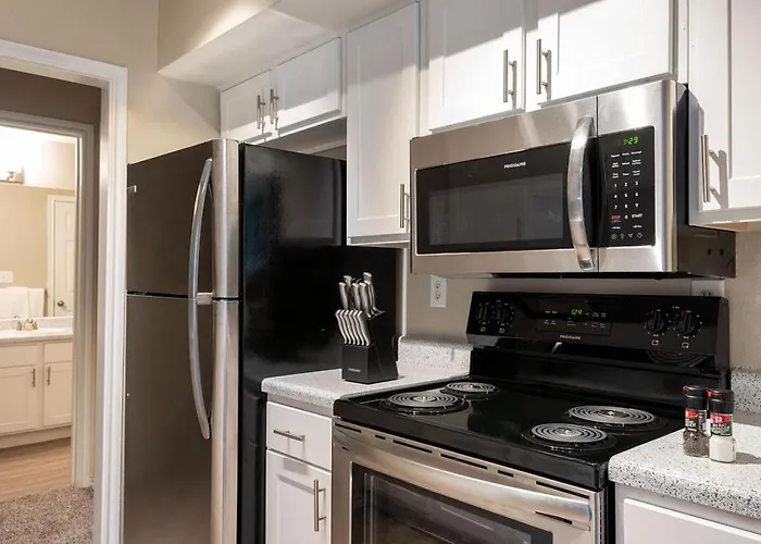 Apartment Landing Modern With Amazing Amenities Round Rock